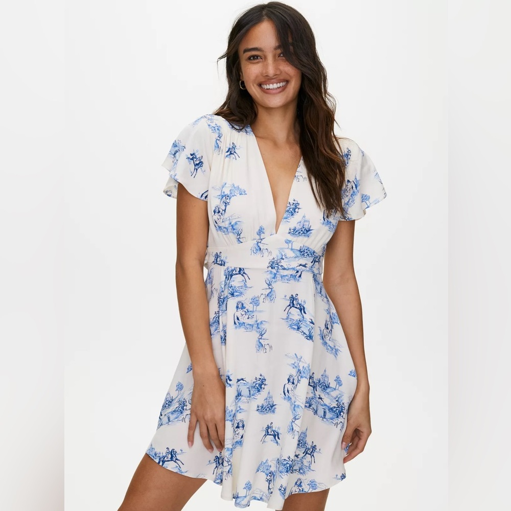 Aritzia Vanessa Dress